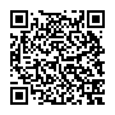 QR code for 9N 4238