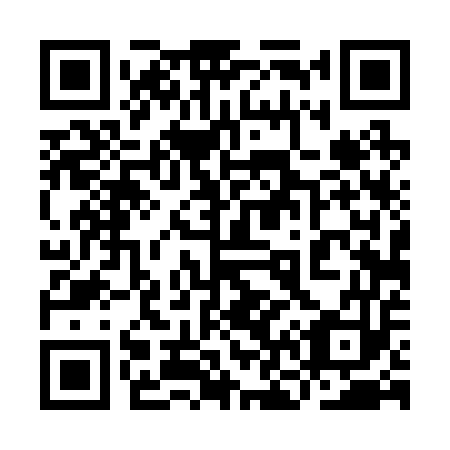 QR code for 9N 4253