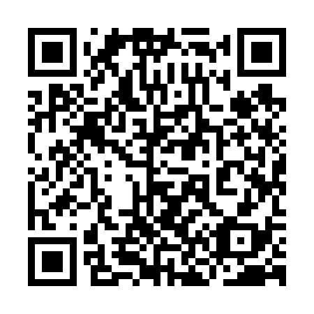QR code for 9N 9638