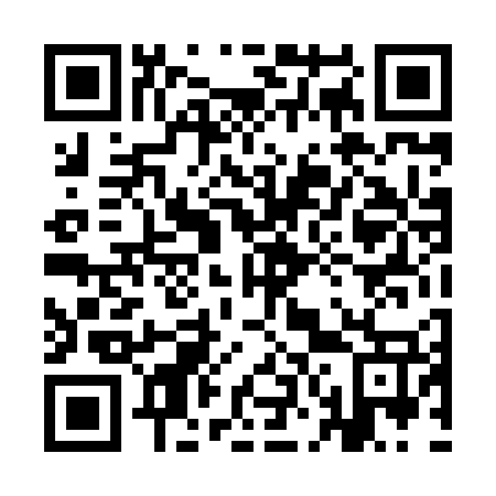 QR code for plate 9N 4877