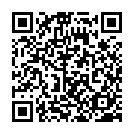 QR code for plate 9N 9920