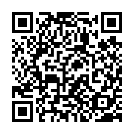 QR code for plate 9NE 658