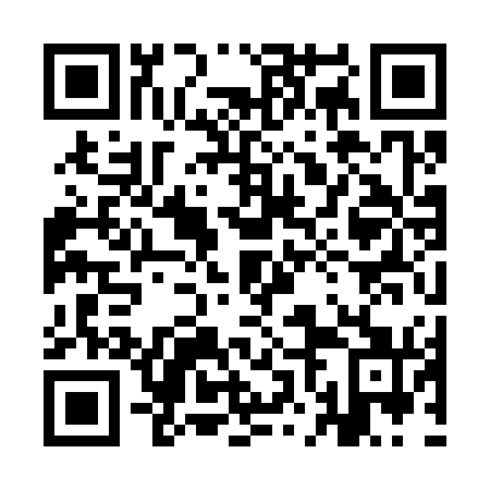 QR code for plate 9NK 371