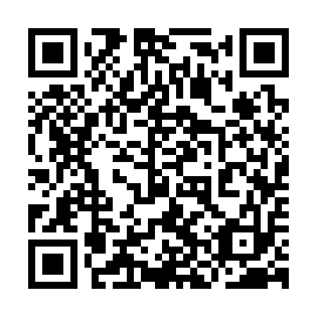 QR code for plate 9NS 313
