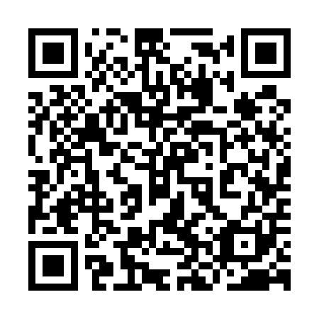 QR code for plate 9NS 501