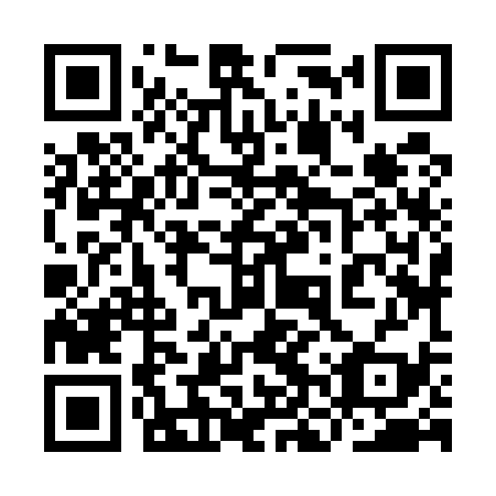 QR code for plate 9NZ 539
