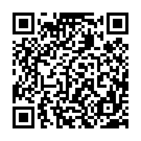 QR code for plate 9O 0416