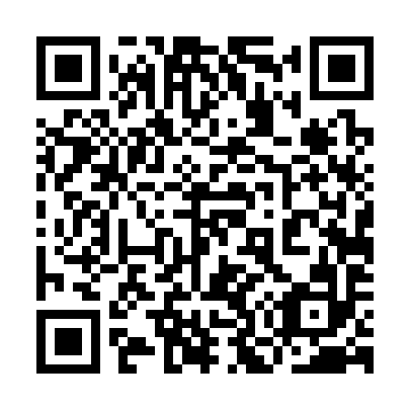 QR code for plate 9O 4392