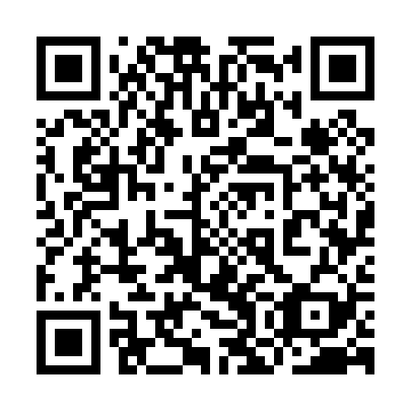 QR code for plate 9OG 029