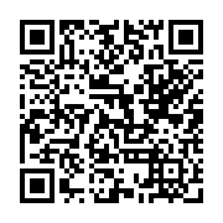 QR code for plate 9OG 302
