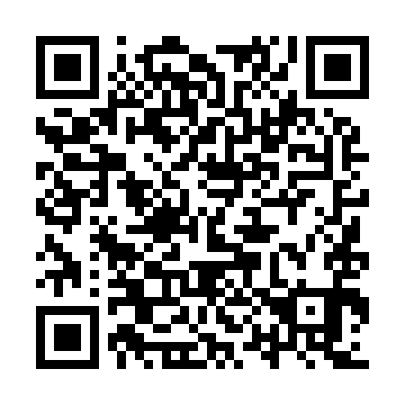QR code for 9P 4991