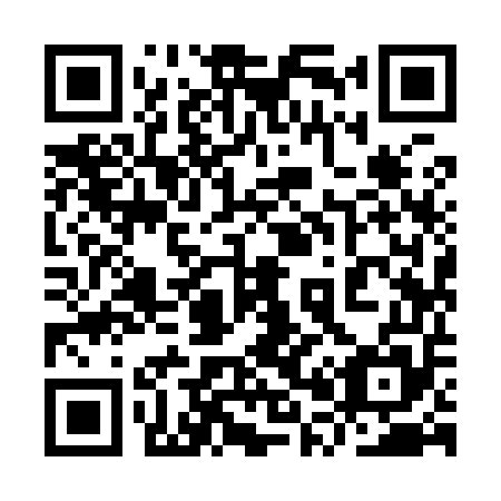 QR code for 9P 9955