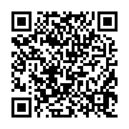 QR code for 9P3846