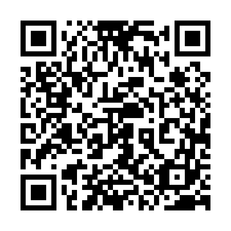QR code for 9P4163