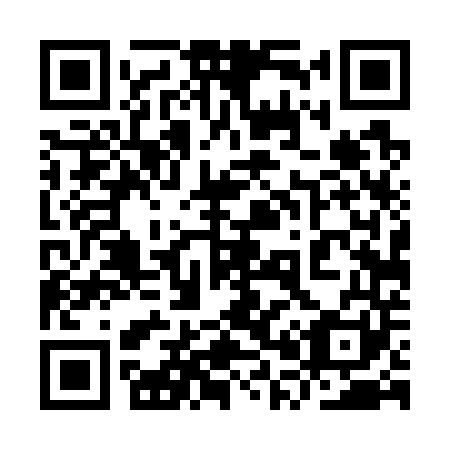 QR code for plate 9P 4741