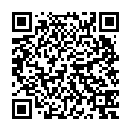 QR code for plate 9P 7638