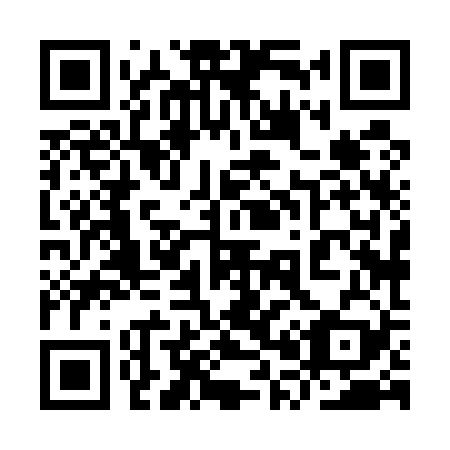 QR code for plate 9P 8529