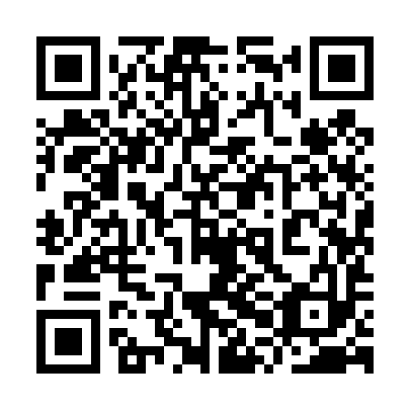 QR code for 9PI 493