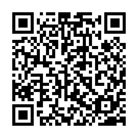 QR code for plate 9PU 015