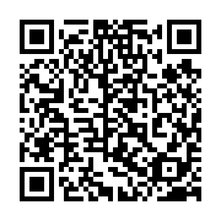 QR code for plate 9PU 698