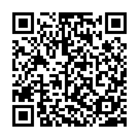 QR code for plate 9PV 175