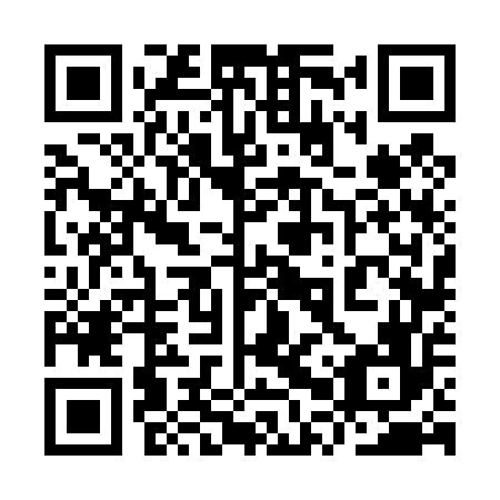 QR code for plate 9PV 456