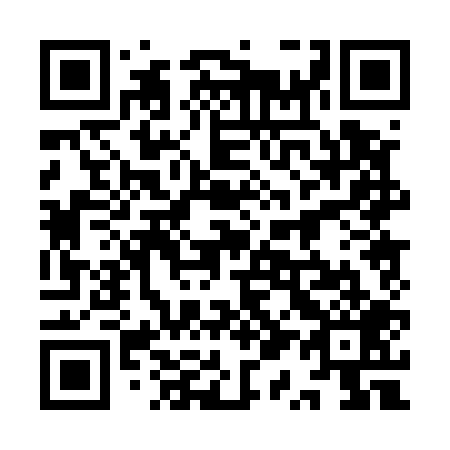 QR code for plate 9Q 0509