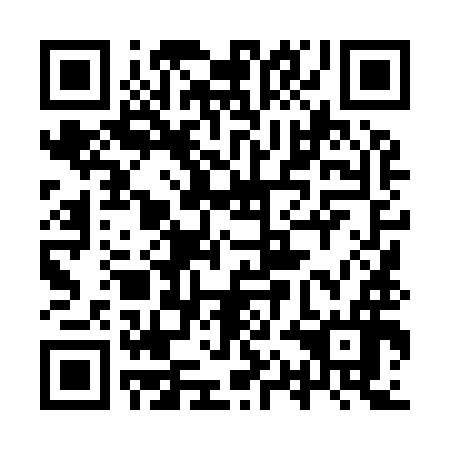 QR code for plate 9QL 996