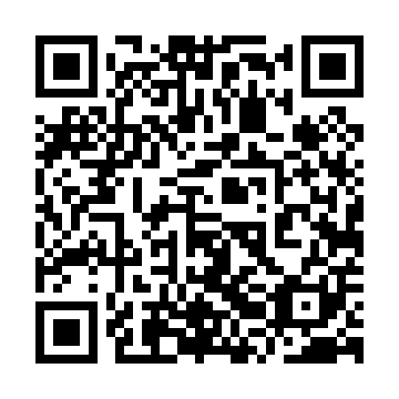 QR code for plate 9RD 001