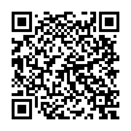QR code for plate 9RI 524