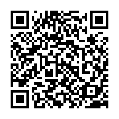 QR code for plate 9S 3918