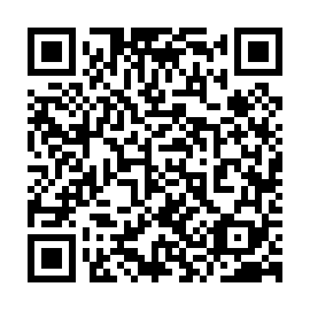QR code for plate 9S 6069