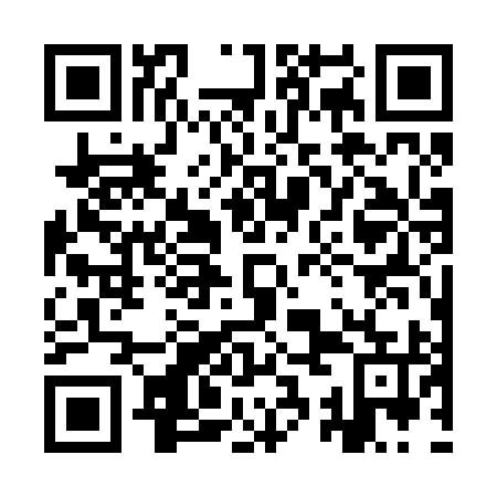 QR code for plate 9SG 295