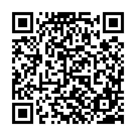 QR code for plate 9SJ 506