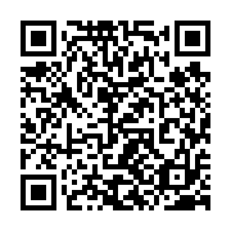 QR code for plate 9SM 613