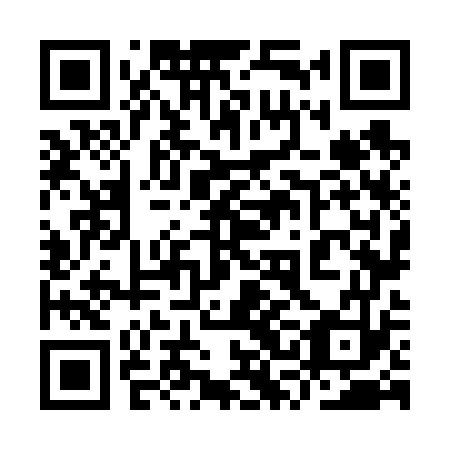 QR code for plate 9SN 673