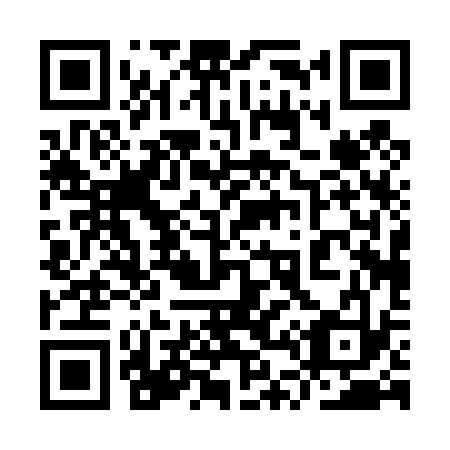 QR code for 9T 0433