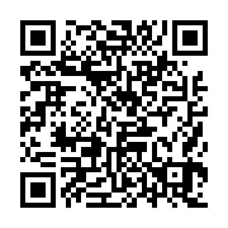 QR code for 9T 0463