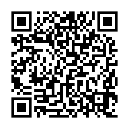 QR code for 9T 2993