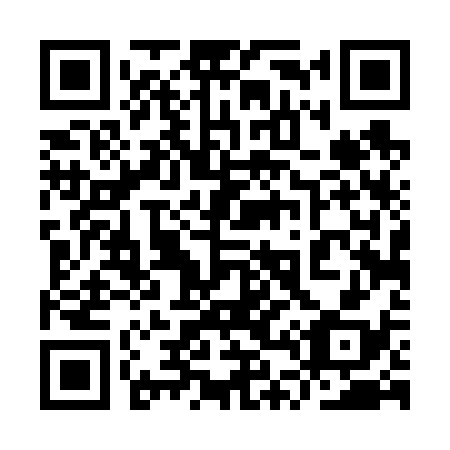 QR code for 9T4638