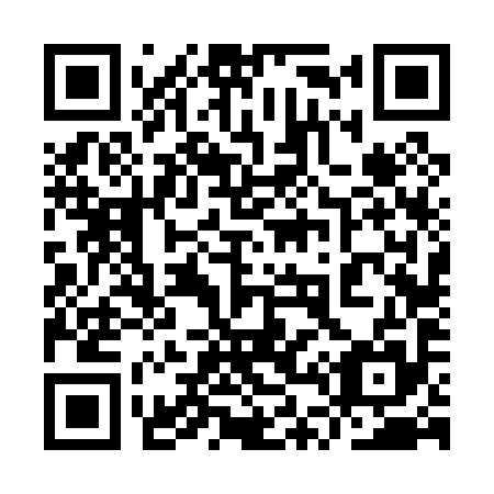 QR code for plate 9T 6095