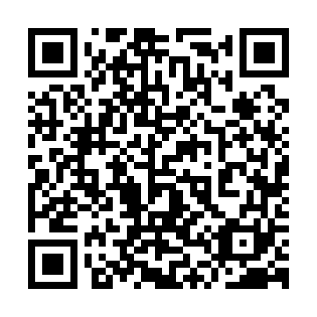 QR code for plate 9T 6161