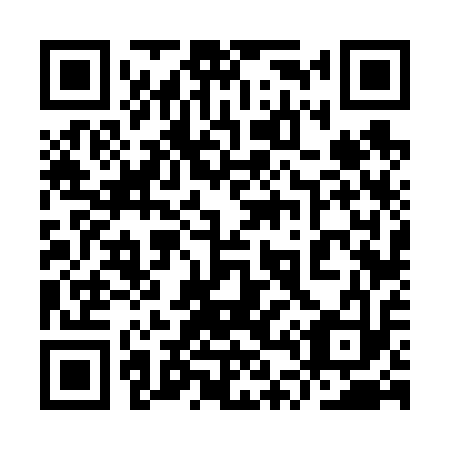 QR code for 9T6613