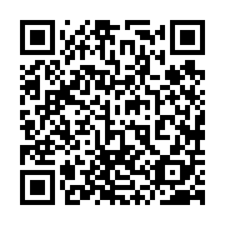 QR code for plate 9T 8608
