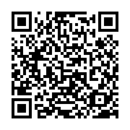 QR code for plate 9T 9028