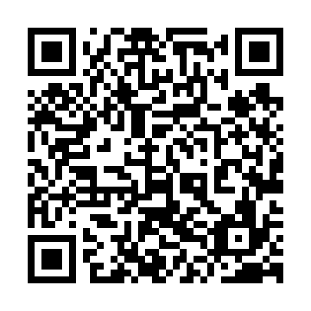 QR code for plate 9TL 636