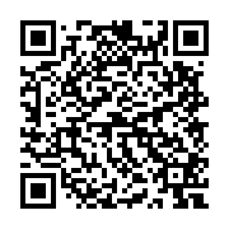 QR code for plate 9TP 500