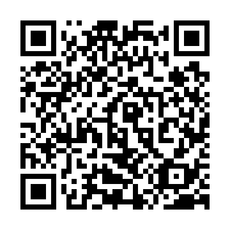 QR code for plate 9U 6738