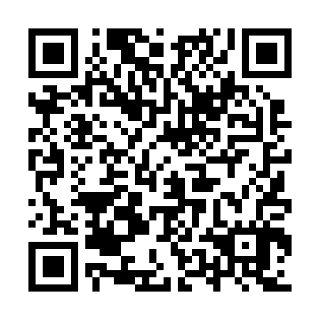 QR code for plate 9UD 207