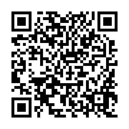 QR code for plate 9UL 296